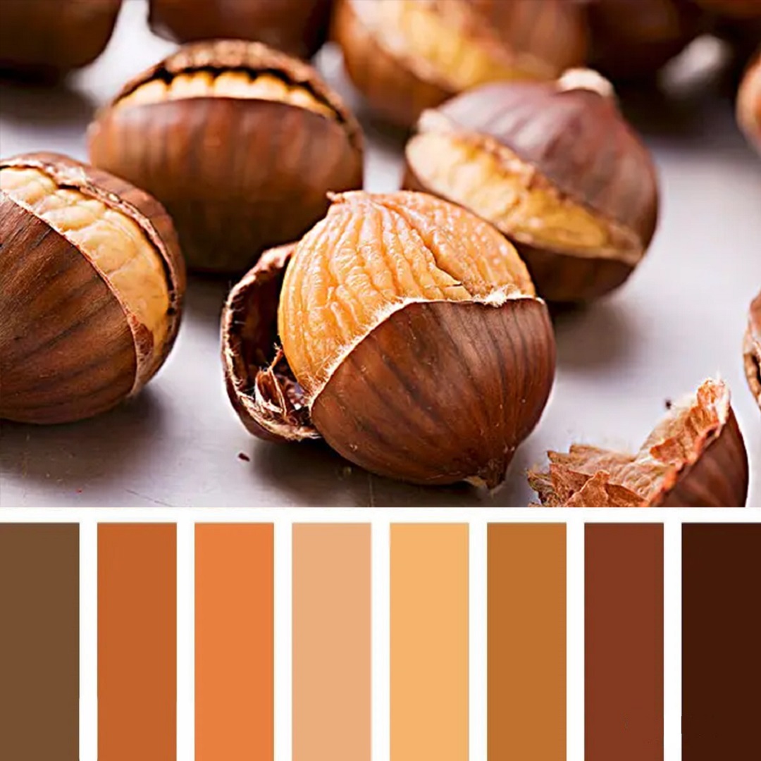 CIELOBLU | 最美的时节,探寻栗子棕的暖意(图4) CIELOBLU | 最美的时节,探寻栗子棕的暖意(图4)